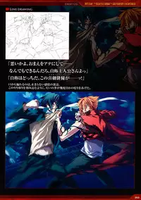 Dies irae Visual Fanbook - Red Book (Resale Version)