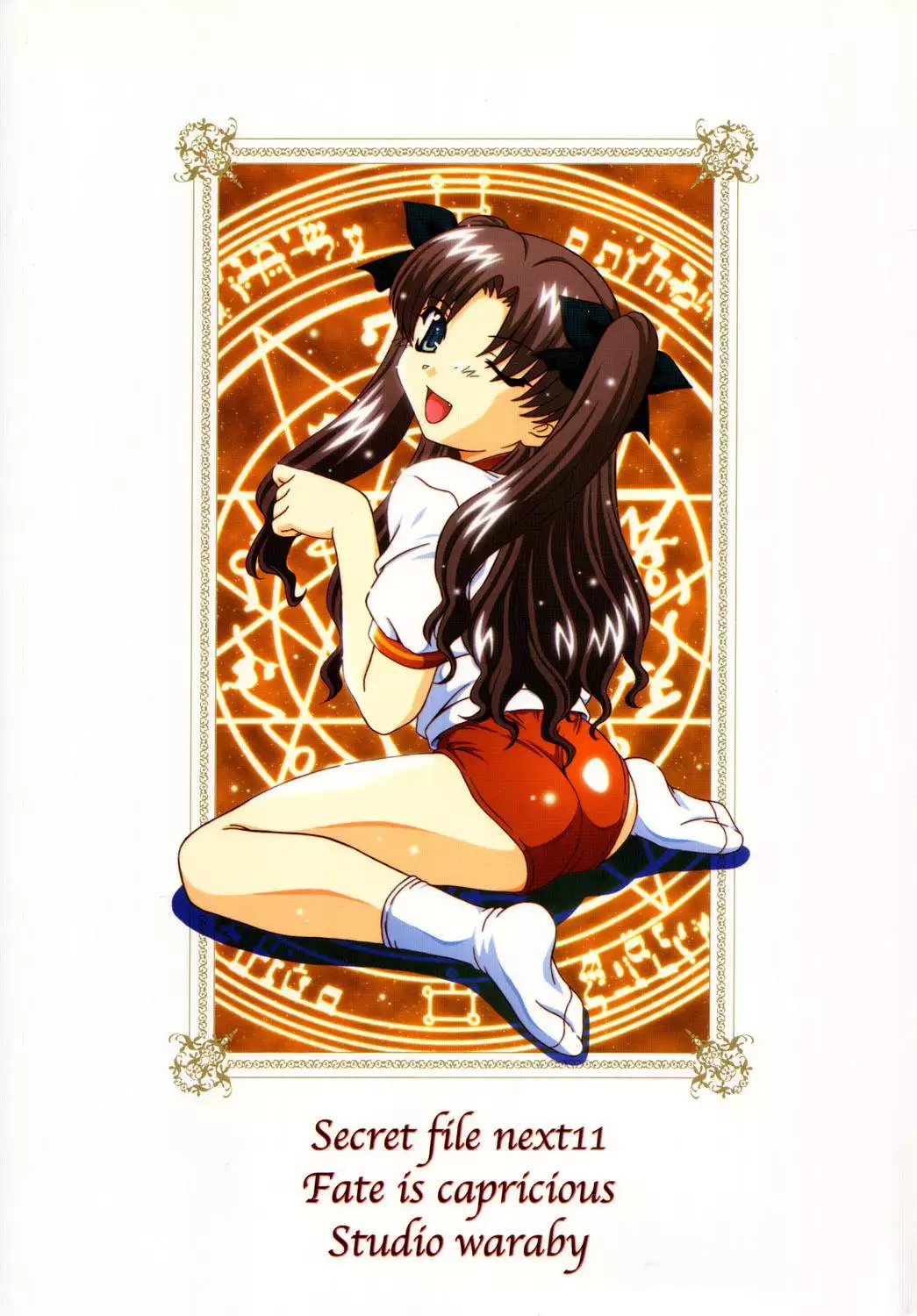 SECRET FILE NEXT 11 - Fate is capricious english cgrascal