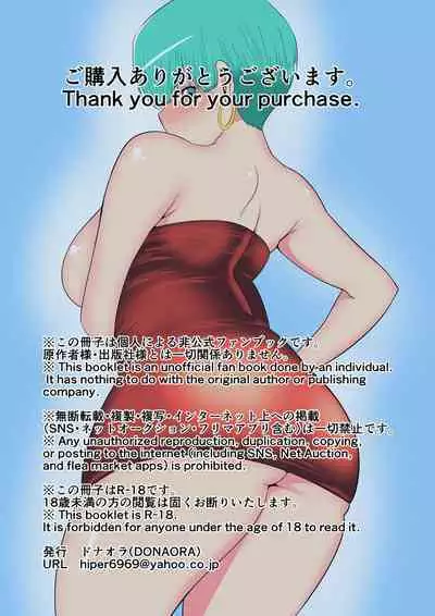 DRAGON HOLE 2 布玛の母爱编