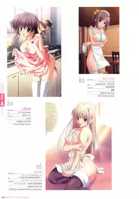 Hadaka Apron Visual Collection
