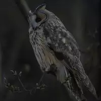 [Danrenji] Elf no Youjo ga Itanode Mechakucha Yatta Hanashi | 操翻了精靈族的幼女是因爲她就在那裏 [Chinese] [虎斑木菟漢化]