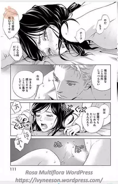 Subete Ai no Shiwaza/愛調教成性俘虜/爱调教成性俘虏/すべて愛のしわざ——もんでんあきこ vol 3（3/3）