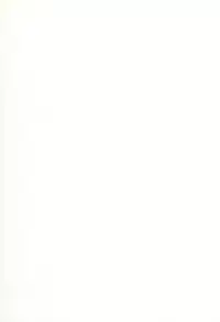 [Buzz Buzz (Himenogi Apo)] Kousoku Tsuushin Release Candidate 3 [Digital]