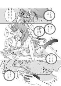 [Fresnel Lens (Hirano Kana)] 19→o3 VerF (Mahou Shoujo Lyrical Nanoha) [Digital]