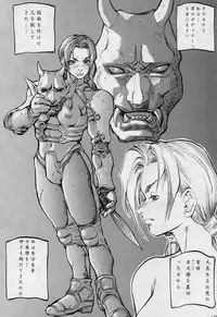 (C51) [D.G.S (Sengoku-kun)] Sengoku 2 (King of Fighters, Street Fighter)