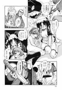 [Tomozawa Shou] Mitsuiro no Maihime