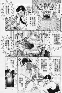 [Kobayashi Takumi] Wild Cats | 性感小野貓 [Chinese] [Incomplete]