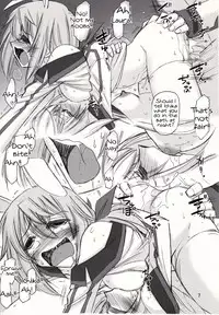 (C81) [EINSATZ GRUPPE {Charlie Nishinaka)] Black & White (IS <Infinite Stratos>) [English] [Tigoris Translates]