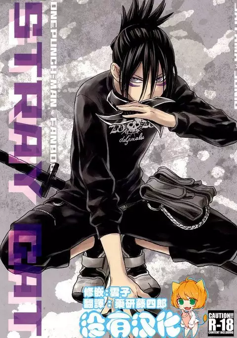 stray cat (沒有漢化）