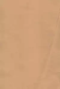 (Meikasai 13) [Mofu Shippo Lab (Nakamura Subaru)] JS Chen (Touhou Project)