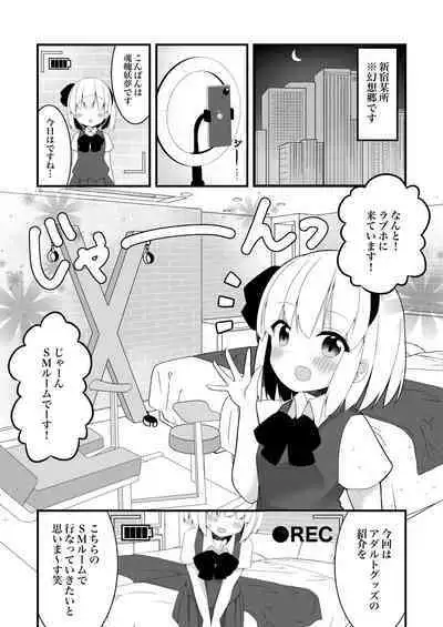 妖夢ちゃんがアダルトグッズのレビューをする話〈拘束編〉