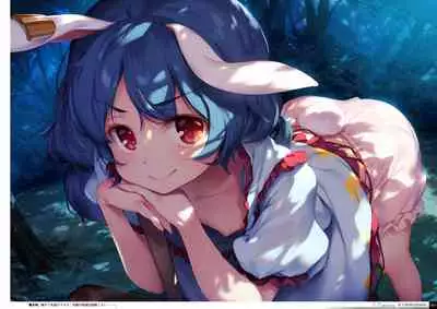 Yoru no Kiseki