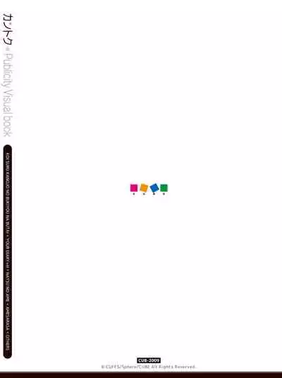 Kantoku Publicity Visual book