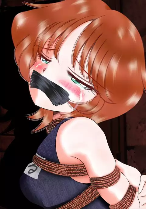 舶来少女シリーズ