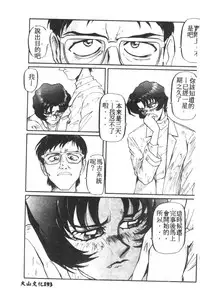 [Anthology] Shitsurakuen 7 | Paradise Lost 7 (Neon Genesis Evangelion) [Chinese]