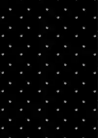 (C94) [Giuniuya (Giuniu)] 2 COMANA AHO-CHAN [Chinese] [萌幻鴿鄉&夢之行蹤漢化組]