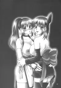 (C70) [Hanamaru Mugen Gym (Hyoujun Mai)] Sakura Chiru (Dead or Alive)