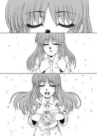 [Fresnel Lens (Hirano Kana)] 19→13 VerF (Mahou Shoujo Lyrical Nanoha) [Digital]