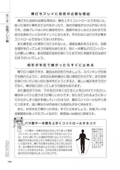 いますぐデキる 図説SMプレイマニュアル