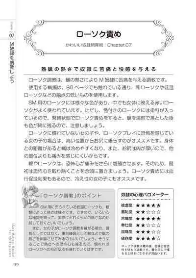 Zero kara Hajimeru SM Manual Kawaii Dorei Shiikujutsu