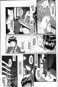 [SINK] Oyako Acme [Chinese]