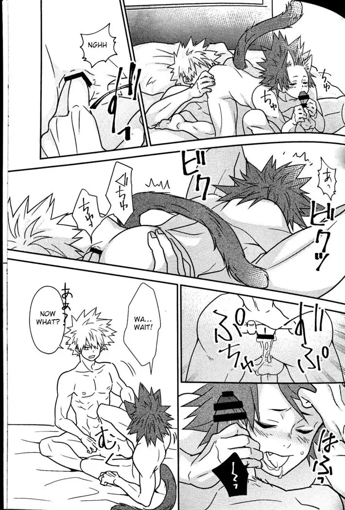 Segregated Euphoria- Boku no Hero Academia dj