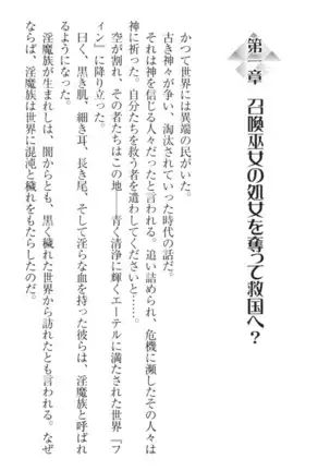 Ero Yuusha Tensei - Shoukan no Miko mo Himekishi mo Inmazoku mo!