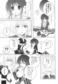 (C80) [Pyonpyororin (Akoko.)] partner (Seikon no Qwaser)