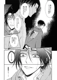 (C90) [RIX (Mamiya)] Ten ni Habataita Sono Ato mo (Shingeki no Kyojin)
