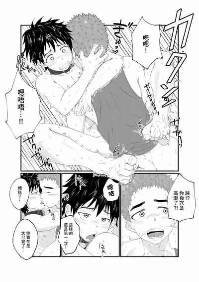 [Pyutaro] Nii-chan wa Nikubenki [Chinese] [糖分超标汉化] [Digital]