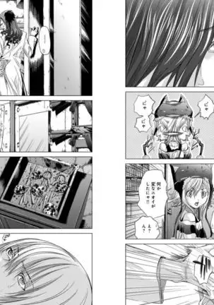 Holy Knight ~Junketsu to Ai no Hazama de~ Vol. 5