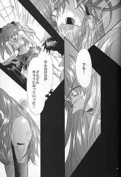 <Shinyaku> NEON GENESIS document R