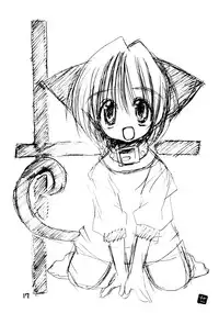 (C60) [STARLESS, SilverWings (Various)] HYPER d