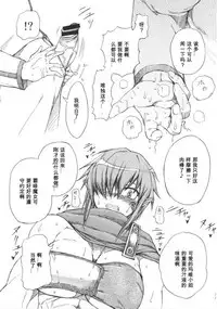 (C73) [SHD (Buchou Chinke, Hiromi)] Haijo DS Chou (Luminous Arc)[Chinese] [我不看本子个人汉化]