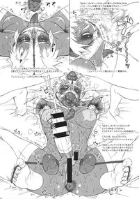 (C90) [Niku Ringo (Kakugari Kyoudai)] NIPPON TIGER & RABBIT