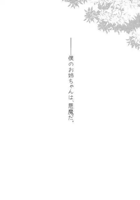 Ane Naru Mono Zenshuu 1