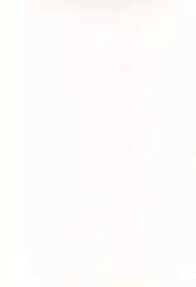 (C63) [Circle Bob (Brother Bob)] Aniome Imouto Ou 1 (Various)