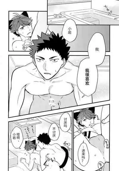 我想成为小岩的猫3 I want to become Iwa-chan's Cat! 3