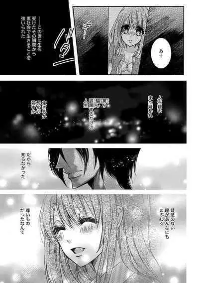 鬼畜兄弟の悶絶調教～私はいいなり奴隷～