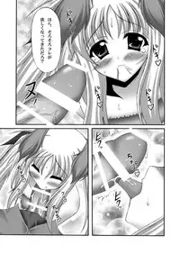 (C80) [chronicle (YUKITO)] FATE COLLECTION II (Mahou Shoujo Lyrical Nanoha)