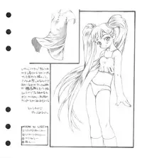 [Ruri Ruri] Super Barning Fire File (Martian Successor Nadecico)