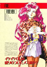 Please Don't Call me Eimmy with C's Ware encyclopedia (Eichi Mook)