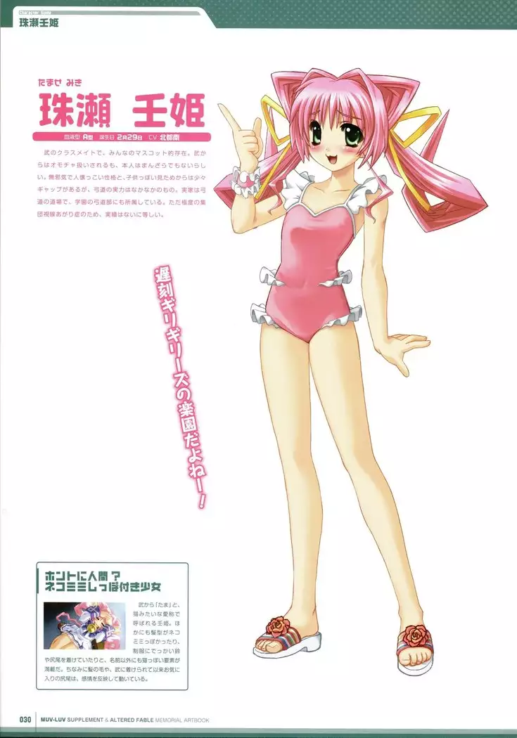 Muv-Luv Supplement & Altered Fable Memorial Art Book