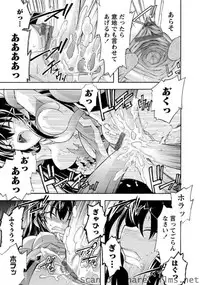 Karyou Sakuragumi Etsu [2010-12]