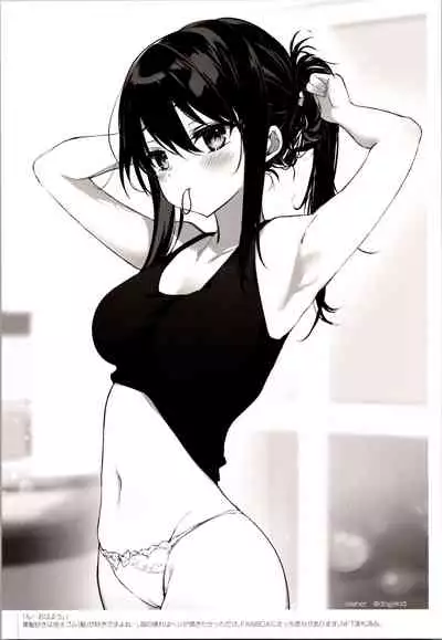 Aniki and I and an illustration summary book + Omake