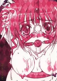 (C74) [STUDIO PAL (Nanno Koto)] Rape Grade Up!! (Mahou Shoujo Lyrical Nanoha)