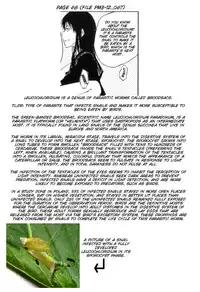 [JUNKLAND2 (Shimimaru)] PM3:12 no Reizouko [English] [SMDC]