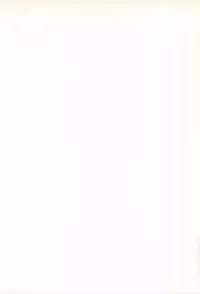 [Buzz Buzz (Himenogi Apo)] Kousoku Tsuushin Release Candidate 3 [Digital]