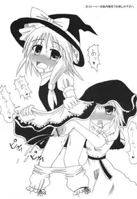 (C70) [Mirabilien Fabrik (Various)] Shoujo Yousai Rengashuu Touhou Inreika (Touhou Project)