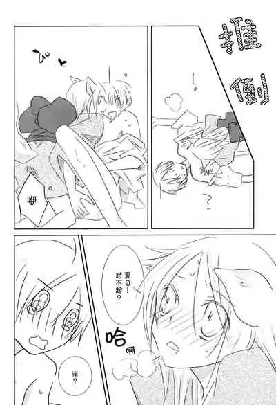 (C78) [Nanohanaan (Tomoe)] Kogitsune no Ongaeshi (Natsume's Book of Friends) [Chinese] [逃亡者x真不可视汉化组]